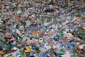 نتیجه جستجوی لغت [litter] در گوگل