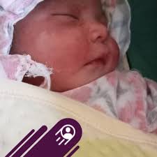 पूर्वप्रधानमन्त्री तथा कांग्रेस सभापति शेरबहादुर देउवा र उनकी पत्नी आरजु  देउवा घाइते भएका छन्।