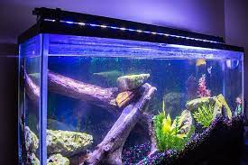 Best Online Aquarium Lights Suppliers Aqualed Com Au Are You Looking To Buy Led Aquarium Lighting We Are Th Led Aquarium Lighting Aquarium Lighting Aquarium