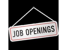 Image result for job image hindi