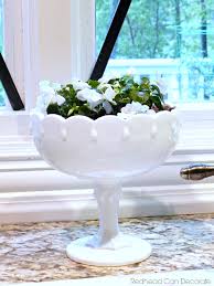 Aside from cats, the biggest challenge you'll likely face is a. Indoor Impatiens Redhead Can Decorate