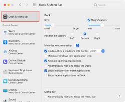 Would you like to remove rarely used items from the dock? How To Customize The Dock And Menu Bar On Your Mac