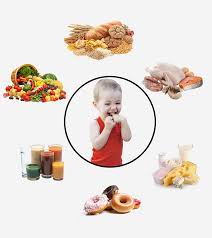 20 months old baby food ideas