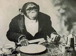 Check spelling or type a new query. Facebook