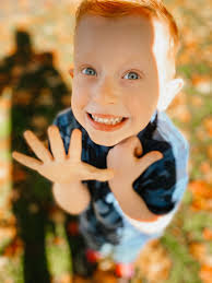 five years of spencer bruce