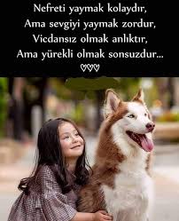 Papatya Tutkum Yagmur Yure Adli Kullanicinin Alinti Panosundaki Pin 2020 Guzel Soz Ozlu Sozler Alintilar