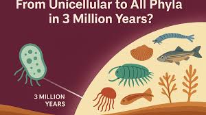 Image result for Phyla