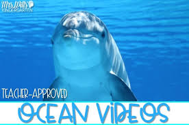 Humans depend on thriving populations of fish for sources of food. 19 Ocean Videos For Kids That Are Teacher Approved