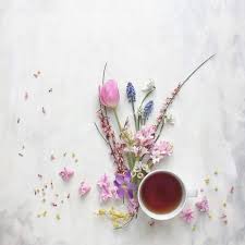 The average amounts you'll find listed below in this post are assuming your soil condition is good, average weather, and low pest or disease damage. 8 Tips For Beautiful Still Life Photography On Iphone Coffee Flower Flower Flat Lay Flower Tea