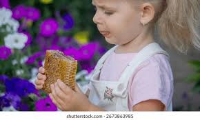 3+ Thousand Little Honeycomb Royalty-Free Images, Stock Photos & Pictures