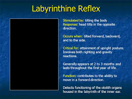 Evolve Pediatric Flashcards | Quizlet