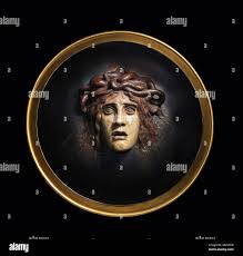 Image result for Centrostigma occultans