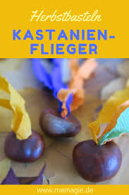 Diy Dienstag Kastanienflieger Kastanien Basteln Basteln Herbst Basteln Mit Kindern Herbst