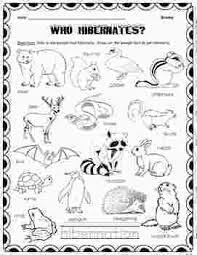 Free Printable Coloring Pages Hibernating Animals Which Animals Hibernate By Fun With First Graders Animals That Hibernate Which Animals Hibernate Hibernation