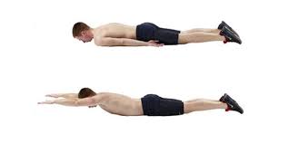 Journal of clinical endocrinology) إلى أنّ تَناول مُكمّلات فيتامين أ بجرعةٍ تساوي 6000 وحدة دولية مرةً في الأسبوع ولمدّة سنةٍ كاملة عزز زيادة الطول عند الأطفال، كما وُجد أنّ تناول مُكمّلات الحديد مع فيتامين أ يَجعل زيادة. Drvo Necakinja Panter ÙˆØµÙØ© Ù„Ø²ÙŠØ§Ø¯Ø© Ø§Ù„Ø·ÙˆÙ„ Ø¨Ø¹Ø¯ Ø§Ù„Ø¨Ù„ÙˆØº Physics Quest Com