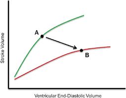 Lehrbuch der physiologie des menschen. The Frank Starling Law With Ventricular Systolic Dysfunction Stroke Download Scientific Diagram