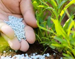 Penggunaan baja kimia secara berlebihan dan berterusan adalah satu kaedah untuk hanya meningkatkan keuntungan jangka pendek tetapi menganggu semua fungsi dan ekosistem tanah dan. Anim Agro Technology Baja Dan Fungsi Baja Apa Dia