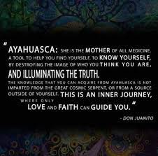 Pinterest Kekedanae20 Psychedelic Quotes Daily Meditation Ayahuasca