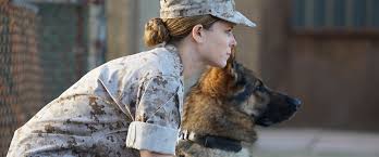 Surprise pregnancy announcements that will make you scream. Megan Leavey Movie Review Film Summary 2017 Roger Ebert