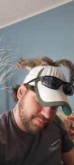 Our baby squirrel we have had for about 3-4 weeks. We found him before his  eyes and ears were even open. I have a history of rehabbing for the state  through my