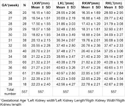 table 1 from fetal kidney measurement in 26 39 weeks