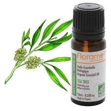 Tea Tree Oil 21 Uses Tea Tree Oil Tea Tree Essential Oil Tea Tree