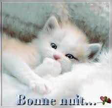 RÃ©sultat de recherche d'images pour "images bonne nuit"