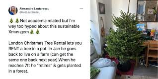 Buying and decorating the christmas tree is a tradition that epitomizes the holiday season. Christmas Tree Rental Provides A Solution To The Real Vs Artificial Tree Dilemma Upworthy