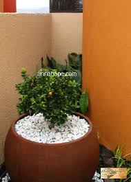Tentu saja, anda tetap harus mempertimbangkan aspek kesesuaian desain dengan lahan yang tersedia. Tip 71 Taman Mungil Di Halaman Samping Atau Belakang Rumah Ciptakan Focal Point Annahape Studio Desain Rumah Desain Interior Arsitektur Rumah