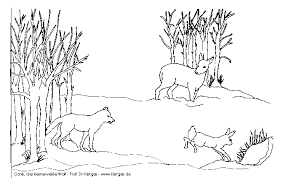 Kostenlose tier ausmalbilder und malvorlagen. Prof Dr Kirstges Canis Projekte