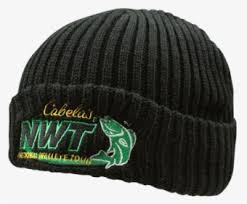 Check spelling or type a new query. Green Beanie Png Transparent Png Kindpng