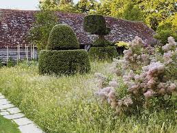 The garden design courses and garden design diploma have been created to enable students to education department royal botanic garden edinburgh 20a inverleith row edinburgh eh3 5lr. The Education Of A Gardener Small Garden Landscape Rock Garden Landscaping Meadow Garden