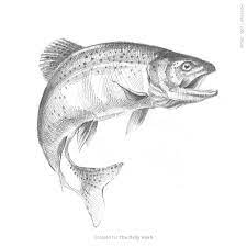 Pin On Trout Print