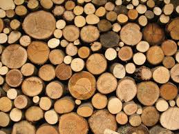 Trees that are grown so that the wood from them can be used for building: Essential Things For Timber Decking Buyers Operation Sold