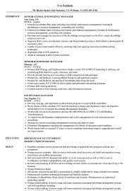 Let us do it for you! Knowledge Manager Resume Samples Velvet Jobs