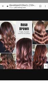 Rise Brown Hair Color Ideas For Brunettes Balayage Hair Styles Hot Hair Styles