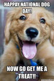 Tag #nationalpuppyday founded by @ homefamilypets www.nationalpuppyday.com. National Puppy Day Memes
