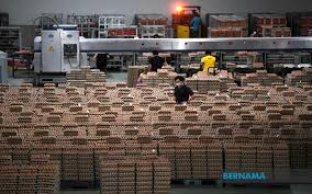 Get the inside scoop on jobs, salaries, top office locations, and ceo insights. Bernama An Inside Look At Ql Eco Farm S Egg Production