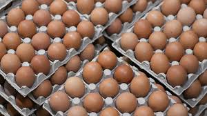 Trend Google: salmonella