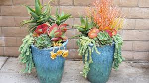 We did not find results for: Planting Large Pots With Succulents Youtube