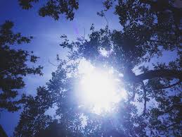 Audio Why Does The Sun Make Some People Sneeze 89 3 Kpcc