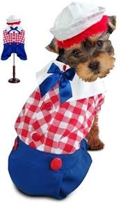 Raggedy Ragdoll Boy Dog Costume Dog Costumes Puppy