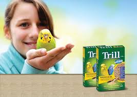 Colour Combinations from Genetic Variation The Bundesschau, DSV National  Show & Open Colour Budgerigar Show The Role of Pla