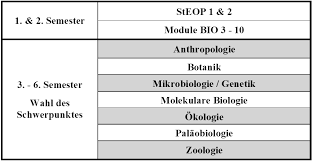 Die biologie hat sich in den vergangenen jahrzehnten mehr und mehr von einer beobachtenden und. Https Www Univie Ac At Stv Biologie Wordpress Wp Content Uploads 2019 10 Infobio19 20 2 Pdf