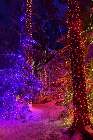 16 Of The Most Magical Christmas Light Displays Around The Country Best Christmas Lights Holiday Lights Display Outdoor Christmas Lights