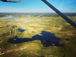 Select category argentina austria botswana de colombia deutsch deutschland die niederlanden ecuador english france frankreich germany house sitting kenia kenya luxembourg malawi de. Auf Safari In Botswana Infos Und Tipps Fur Selbstfahrer