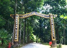 Hutan lipur ulu bendul (gps: Hutan Lipur Ulu Bendul Campsite Mcc Outdoor