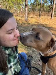 Pork chop needs his forever home. Please read and share. PORKCHOP went