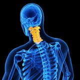 Image result for what is the best treatment for herniated discs in neck?