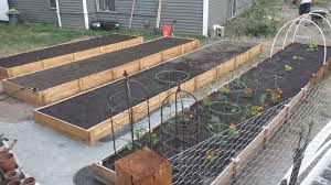 Raised beds provide some degree of pest and animal control. Fence Picket Raised Beds And How They Have Held Up